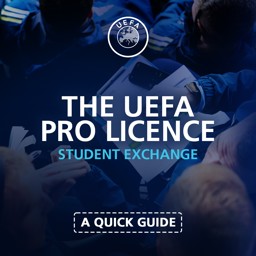 UEFA Pro Licence