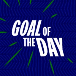 MD5 Goal of the Day ⚽